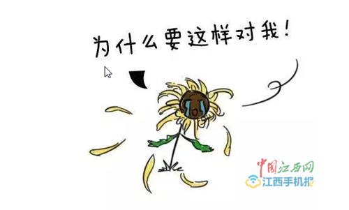 广州东大肛肠医院