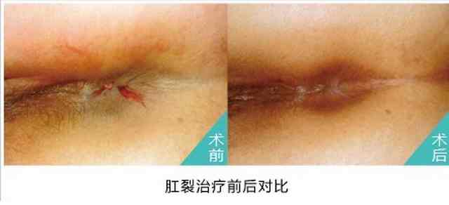 东大26120gc.jpg
