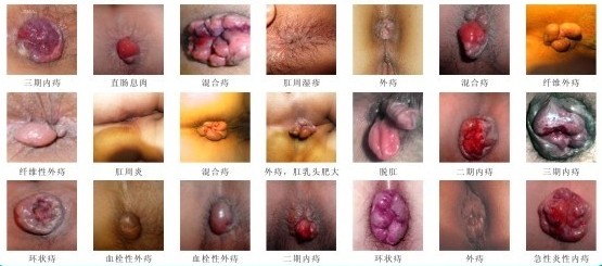 QQ截图20121023173907.jpg