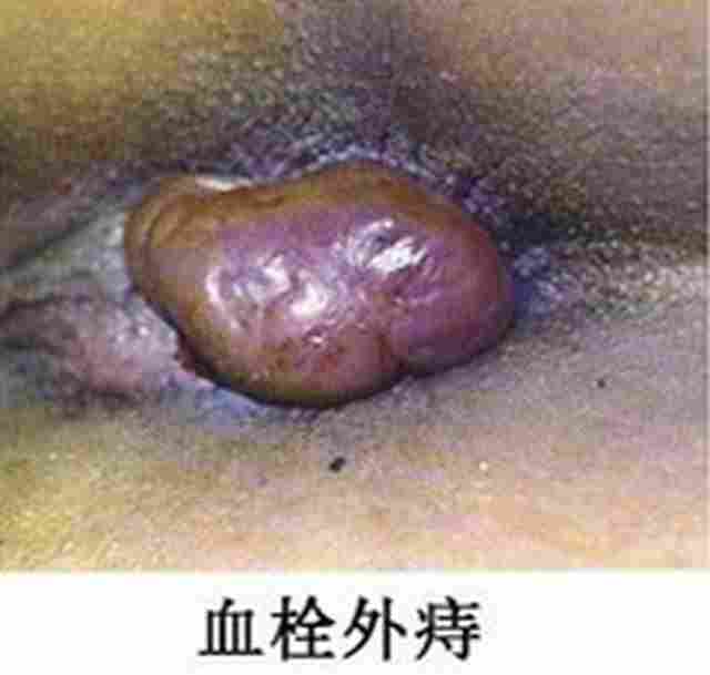 IMG_9东大.jpg