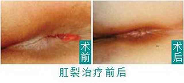 东大13120gc.jpg