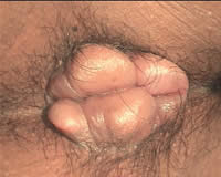 2011052610083617.jpg