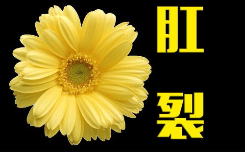 肛裂 重庆东大肛肠医院